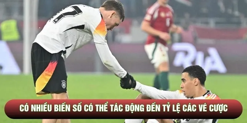 Có nhiều biến số có thể tác động đến tỷ lệ các vé cược