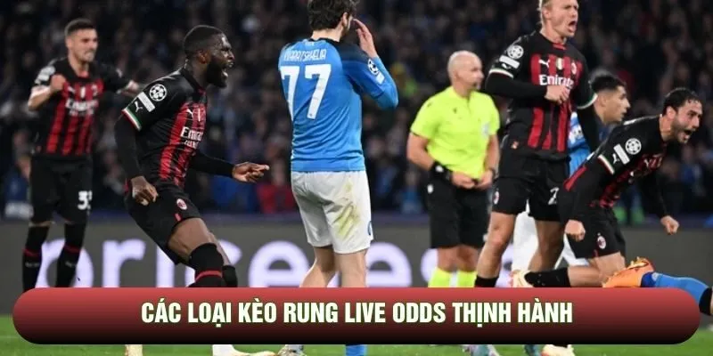 Top những kèo có thể rung hót nhất 2026