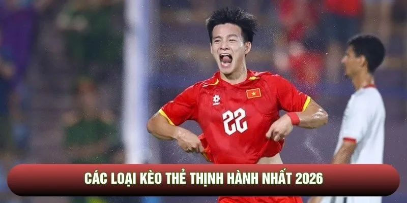 Phân loại Bookings hot nhất 2026