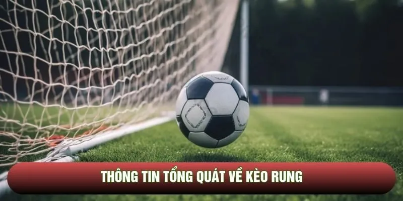 Tổng quan sơ bộ về kèo rung live odds